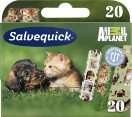 Salvequick Animal Planet plastry dla dzieci 20szt. (P1)